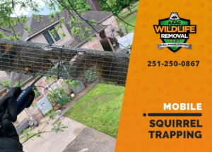 squirrel trapping program mobile